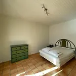 Spacieuse Avec Veranda Et Jardin A - Fr-1-413-209 Capbreton