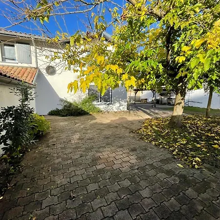 Spacieuse Avec Veranda Et Jardin A - Fr-1-413-209 *
